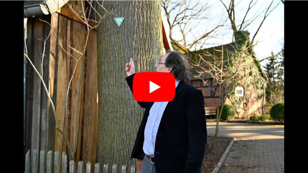 Video abspielen