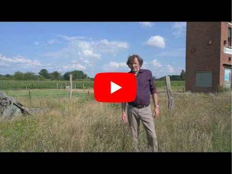 Video abspielen